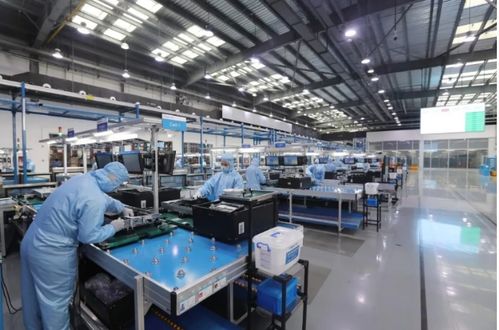 抗疫路上，我們都是一家人 從全民同心到精準紓困